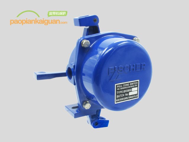 BX5800B(手動復位型)拉繩開關